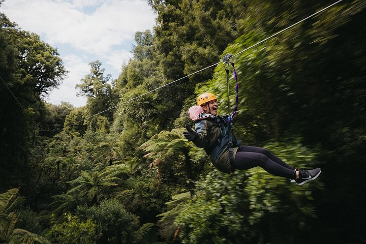 Zipline thrills in Rotorua!
